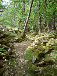 Fristorps klev